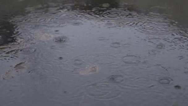 Lente regen valt in het water in slow motion — Stockvideo