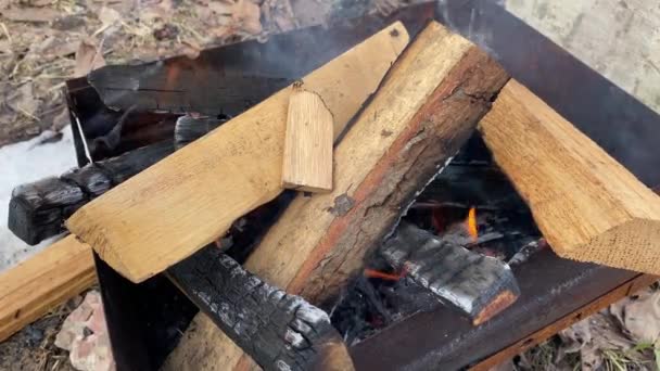Quercia fuoco a legna brucia nella griglia sulla strada — Video Stock