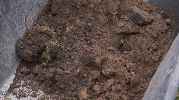 Χύοντας χώμα από πηλό σε καροτσάκι με φτυάρι — Αρχείο Βίντεο