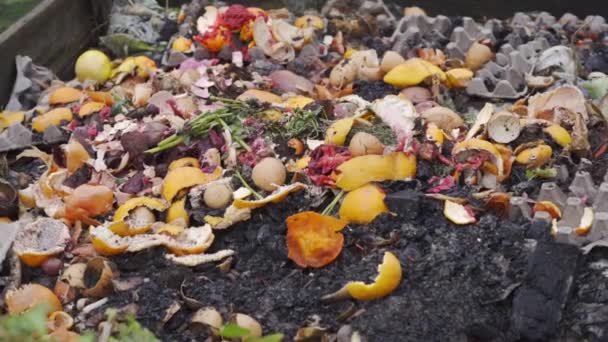 Утилизация пищевых органических отходов и сортировка отходов. Органические удобрения для огорода — стоковое видео