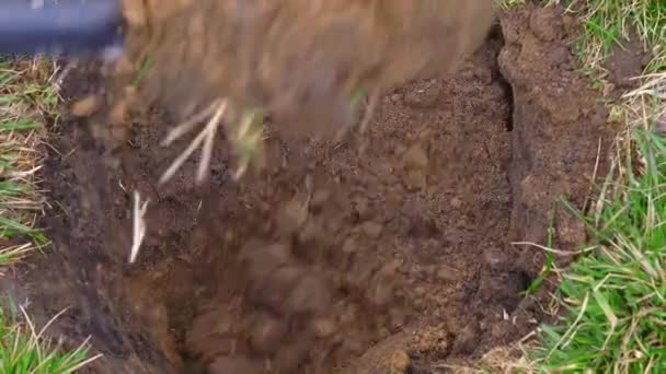 Een rond diep gat in de grond graven met een schop — Stockvideo