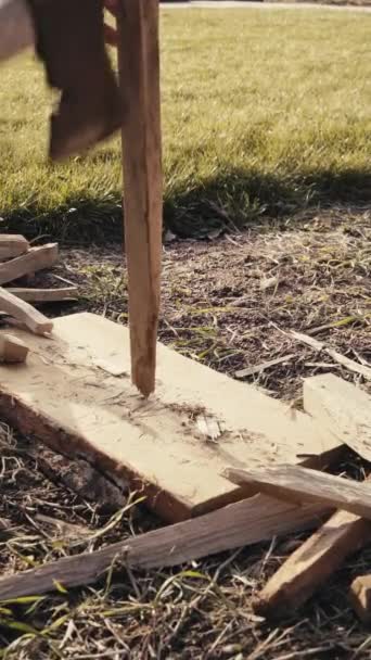 Chopping wood with an ax in slow motion, vertical video — Stock Video