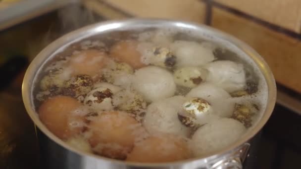 Kwartels en kippeneieren worden gekookt in een pan in kokend water — Stockvideo