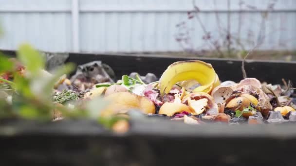 Scarti alimentari separati su un cumulo di compost — Video Stock