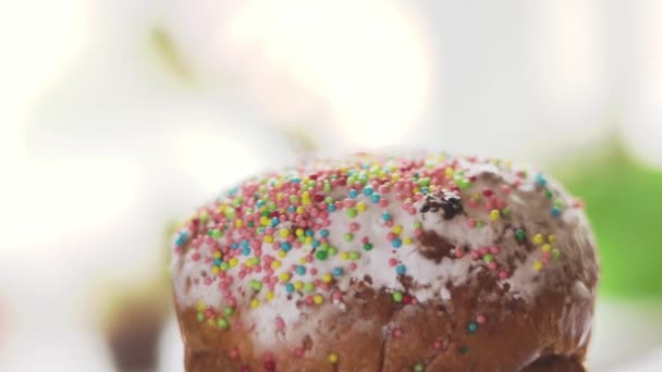 Torta di Pasqua che gira primo piano su uno sfondo bianco — Video Stock