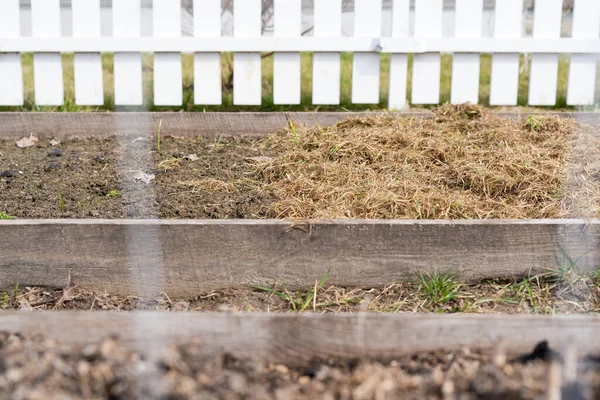 Une Technologie Mode Horticulture Comme Paillage Des Parterres Pour Préserver — Photo