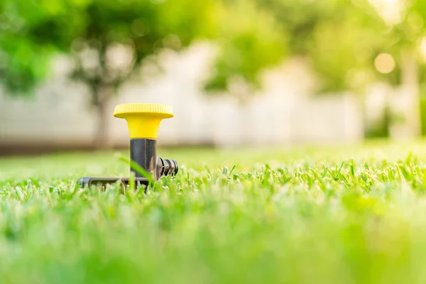 Gelber Rasensprenger Mit Pilzbefall Rasen Installiert — Stockfoto
