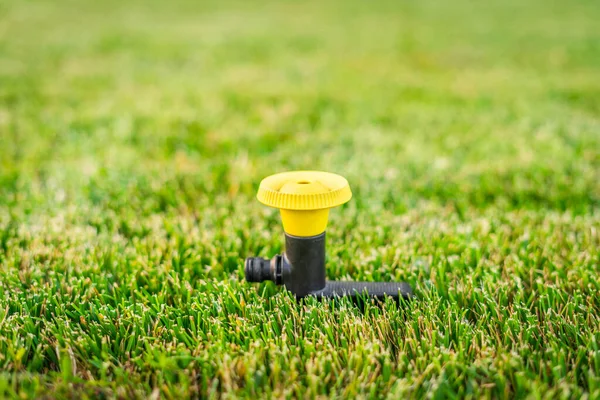 Installation Eines Pilzregners Zur Bewässerung Von Frisch Gemähtem Gras Rasen — Stockfoto