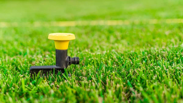 Multifunktionale Sprinkleranlage Pilz Grünen Rasen Installiert — Stockfoto