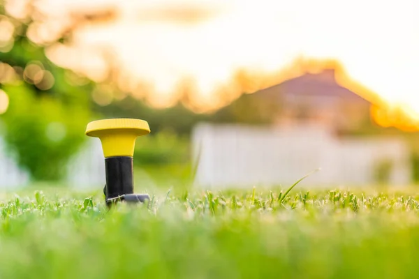 Installation Eines Pilzregners Zur Bewässerung Von Frisch Gemähtem Gras Rasen — Stockfoto