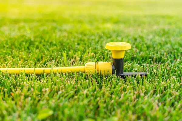 Wasserschlauchversorgung Einer Sprinkleranlage Auf Einer Grünen Rasenfläche — Stockfoto