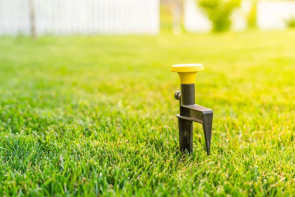 Installation Eines Pilzregners Zur Bewässerung Von Frisch Gemähtem Gras Rasen — Stockfoto