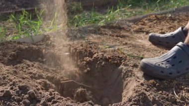 A guy cultivates the soil of a vegetable garden bed with a shovel, close-up in slow motion. High quality FullHD footage