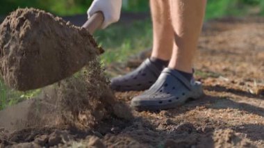Gün doğumunda sebze bahçesi yatağını kürekle yavaş çekimde kazmak. Yüksek kaliteli FullHD görüntüler