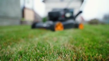 Arka planda bulanık bir arka planda çim biçme makinesi var. Pürüzsüz kamera hareketi. Ön planda yeşil çimenler var. Yüksek kaliteli FullHD görüntüler