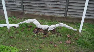 Kışın üzümleri yalıtmak için agrofiber kullanmak. Yüksek kaliteli FullHD görüntüler