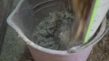 Tavuk kümesini temizliyorum. Kovaya tavuk dışkısı dökmek. Yüksek kalite 4k görüntü