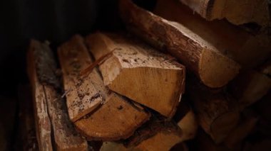 Evi ısıtmak için meşe ağacından odun topladım, yakın plan. Yüksek kaliteli FullHD görüntüler