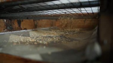 Tavuk kümesindeki yatağın üzerine talaş serpilmiş. Yüksek kaliteli FullHD görüntüler