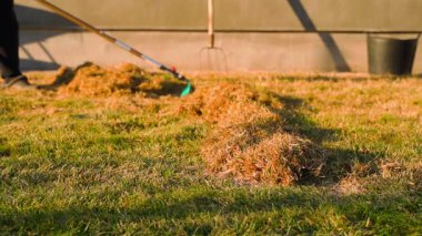 Bahçıvan kıştan sonra çimenleri tırmıkla kazıyor. Bahar akşamında baharda bahçe bakımı. Yüksek kaliteli FullHD görüntüler