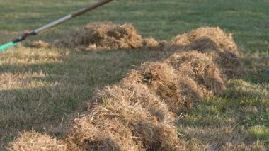 Baharda tırmıkla çim biçme işlemi. Bahar bahçesi işi, çimen bakımı. Yüksek kalite 4k görüntü