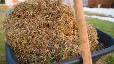Bahçe arabası, kışın baharda çimenleri tırmıkladıktan ve gevşedikten sonra kuru otlarla dolu. Yüksek kaliteli FullHD görüntüler