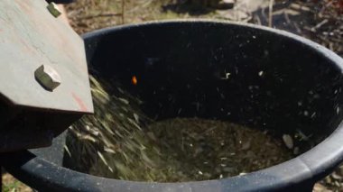 Wood chipper nozzle ejecting sawdust while processing pruned tree branches close-up slow motion. High quality FullHD footage