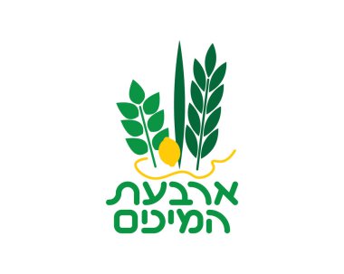 Yahudi Dört Tür Çizimleri - Etrog, Lulav, Hadas, Aravah ve İbranice Dört Tür