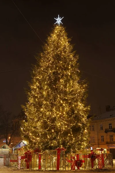 Lviv Ukraine Stycznia 2021 Choinka Jarmark Bożego Narodzenia Nowego Roku — Zdjęcie stockowe