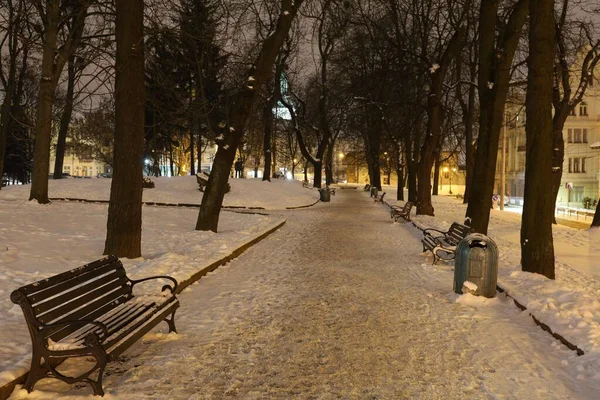 Львов Украина Января 2021 Года Зимний Городской Парк — стоковое фото