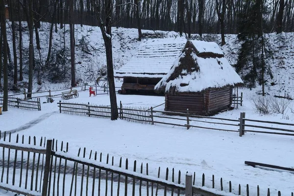 Lviv Ukraine Januar 2021 Altes Holzhaus Schewtschenko Hain Altes Dorf — Stockfoto