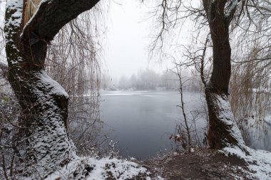 Sis ve kış manzaralı güzel kış gölü