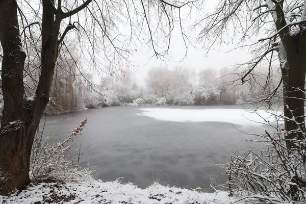 Beautiful winter lake with fog and winter landscape