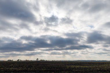 Kasvetli sonbahar, yağmurdan önce gri gökyüzü.