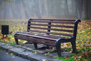 LVIV, UKRAINE - 09 Kasım 2020: Sisli bir sonbahar parkında Benç