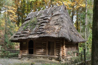 LVIV, UKRAINE - 28 Ekim 2020: Sonbaharda Shevchenkivskyi Hai Müzesindeki antik ahşap evler