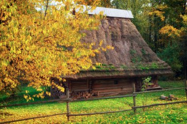 LVIV, UKRAINE - 28 Ekim 2020: Sonbaharda Shevchenkivskyi Hai Müzesindeki antik ahşap evler