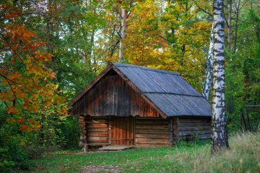 LVIV, UKRAINE - 28 Ekim 2020: Sonbaharda Shevchenkivskyi Hai Müzesindeki antik ahşap evler