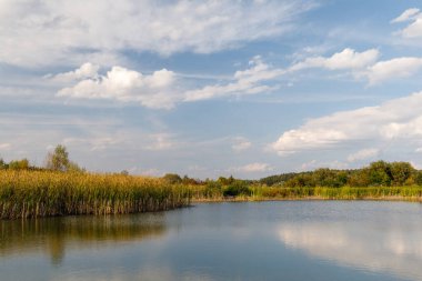 Güzel göl ve mavi gökyüzünün sonbahar manzarası