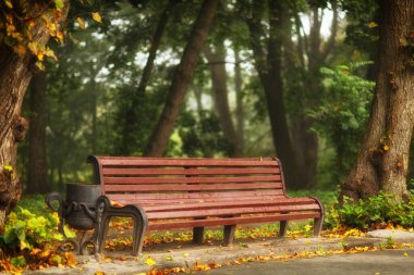 Sonbahar parkındaki banklar Güzel manzara
