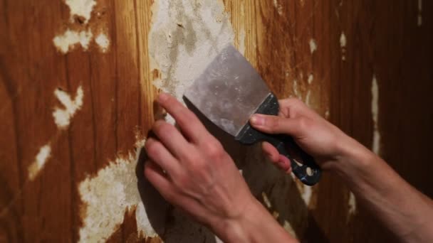 Memperbaiki Dinding Apartemen Dengan Spatula Menghapus Wallpaper Tua — Stok Video