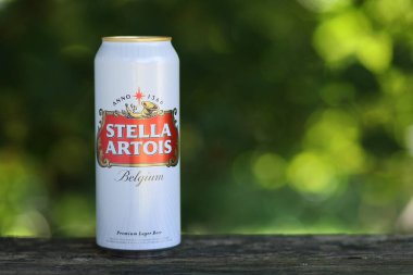 LVIV, UKRAINE - 12 Eylül 2020: Yazın Stella Artois birası metne dayanmak için yeşil bir arka planda