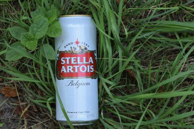 LVIV, UKRAINE - 12 Eylül 2020: