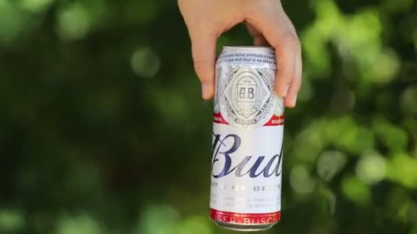 Lviv Ukraine September 2020 Bud Beer Tin Can Hand — 图库视频影像