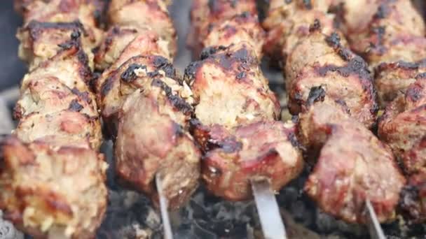 Процесс Приготовления Жарки Кебабов — стоковое видео