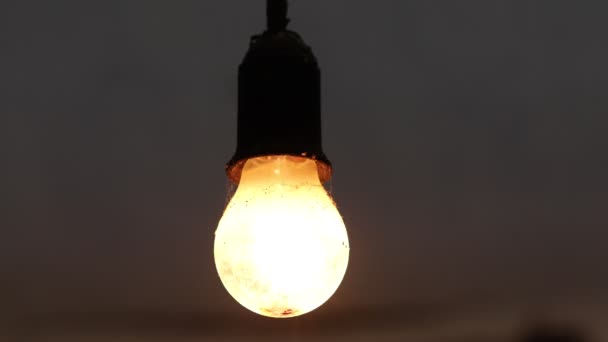 Стара Лампа Розжарювання Вмикається Вимикається — стокове відео