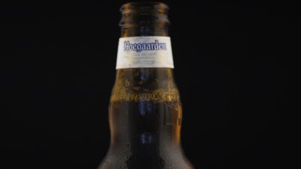 Lviv Ucraina Maggio Agosto 2020 Birra Belga Hoegaarden Bottiglia Vetro — Video Stock