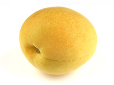 Beyaz arka planda taze bir kayısı.