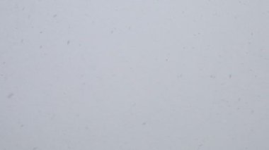 Kışın kar yağarken gökyüzünden beyaz gökyüzü ve kar yağar