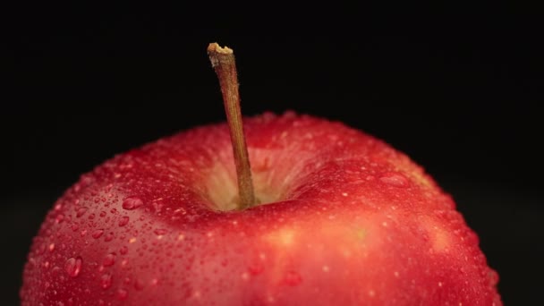 Κόκκινο Επικεφαλής Ποικιλία Κόκκινο Όμορφο Μήλο Close — Αρχείο Βίντεο